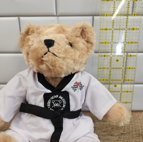 Taekwondo Teddy Bear Karate Bear Martial Arts Stuffed Animals - Picture 2 of 4